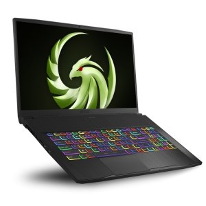 Gaming laptop